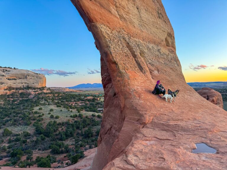 Arches National Park and Moab, Utah: Dog-friendly guide