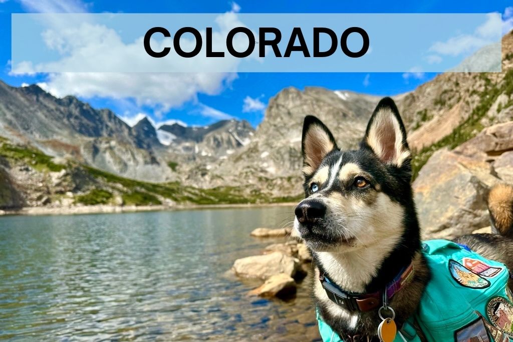 husky dog in front of mountain lake with word: Colorado