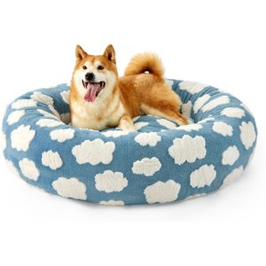 dog in dog bed