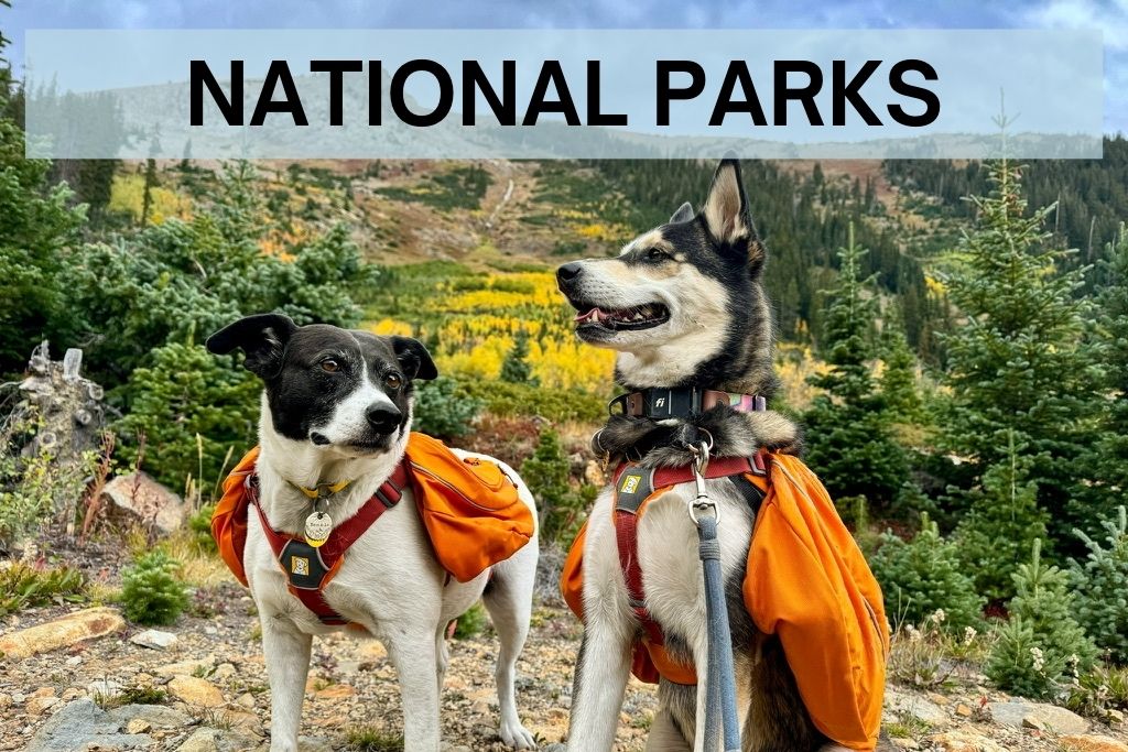 Two dogs wearing backpacks in front of a mountain, with words: National Parks