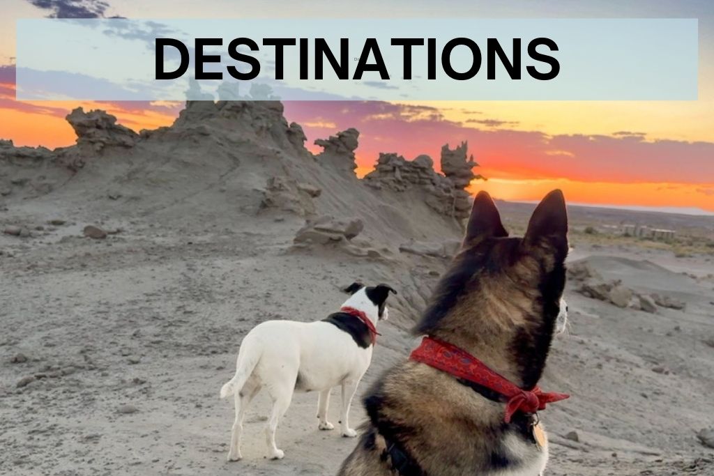 Two dogs looking out over a desert landscape, with word: Destinations