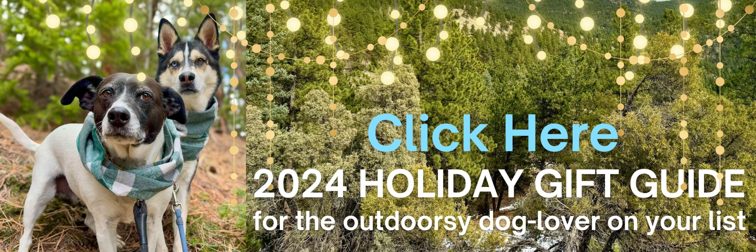 Two dogs in the forest, with text: Click here 2024 holiday gift guide for the outdoorsy dog-lover on your list