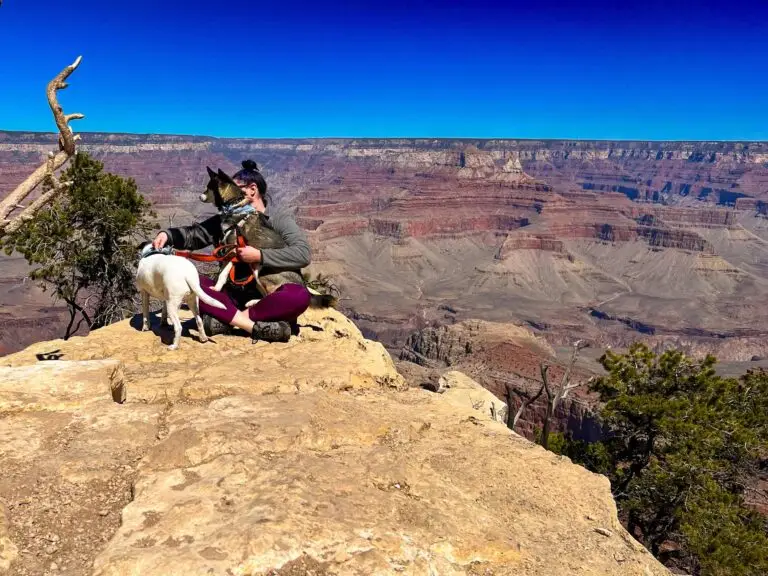 Guide to visiting (nearly) any National Park with your dog