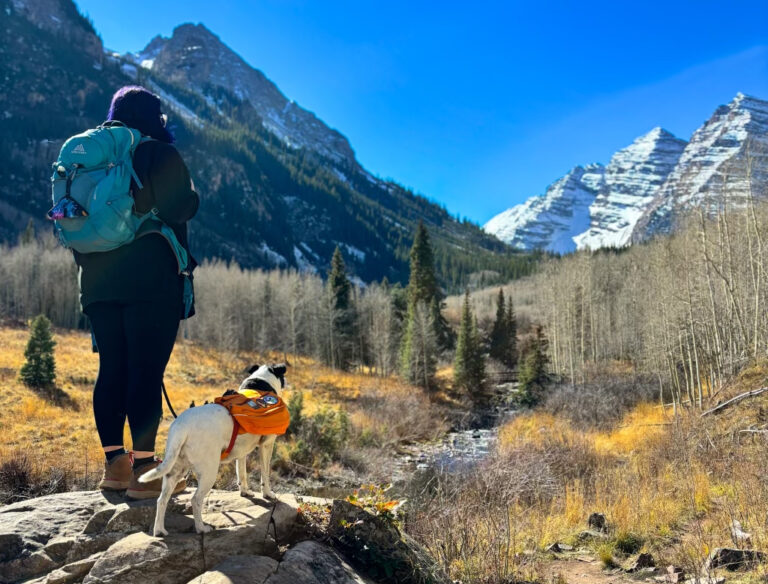 Hiking with your dog: 12 tips to always be pup-pared