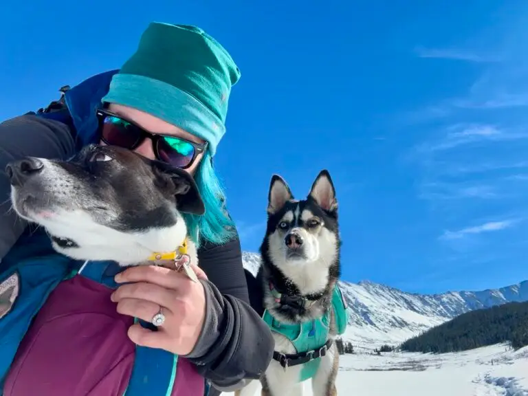 Beginner’s guide to winter hiking with your dog: Snow pups unite!