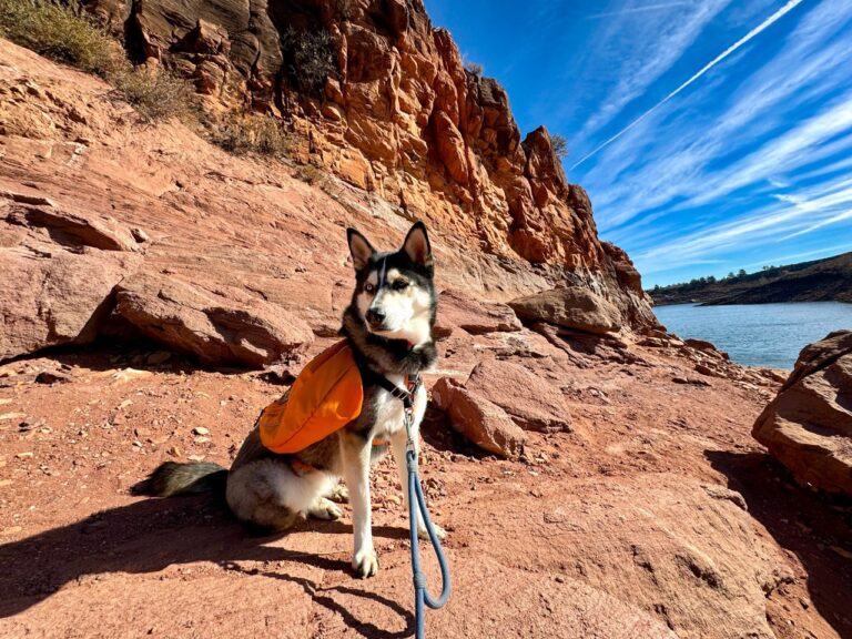 10 dog-friendly geology hikes along Colorado’s Front Range: Rocks rock!