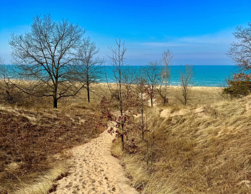 hiking trail leading down a sand dune to blue water