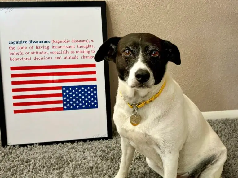 Pupper-radicals: Thoughts & resources following the 2024 US presidential election