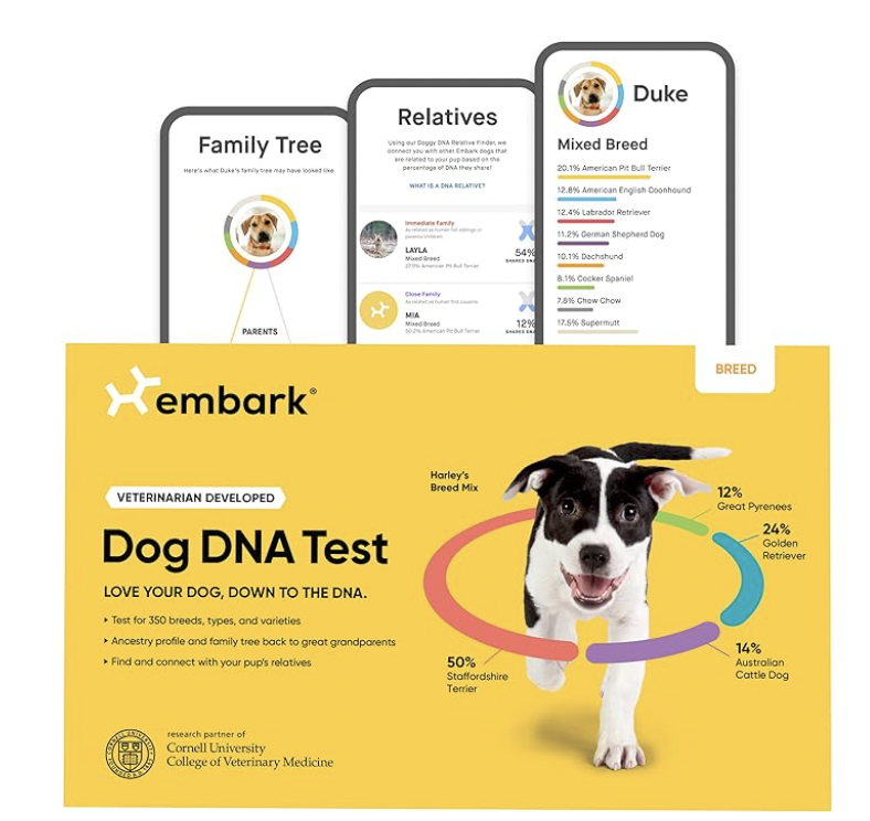 dog dna kit