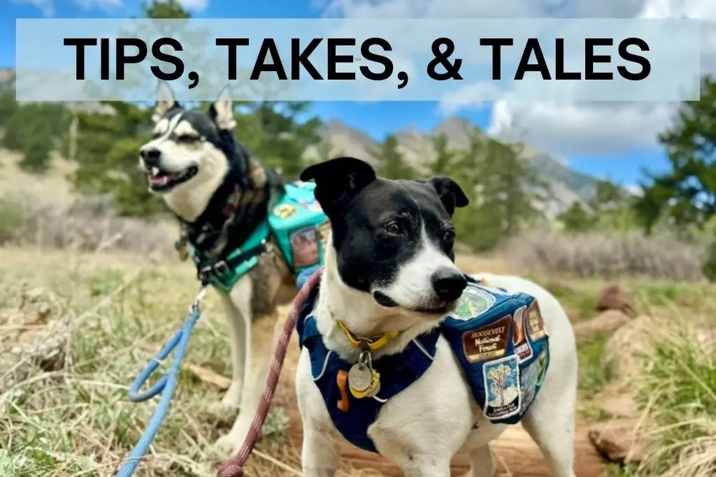 Two dogs in backpacks standing in front of mountains, with words: Tips, Takes, & Tales