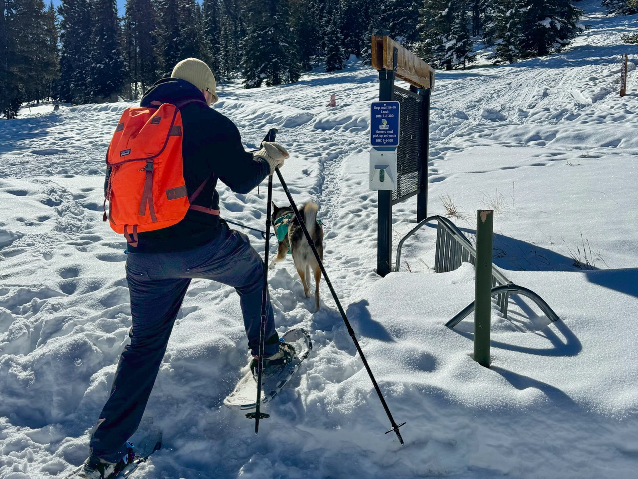 A man snowshoeing through deep snow with a dog