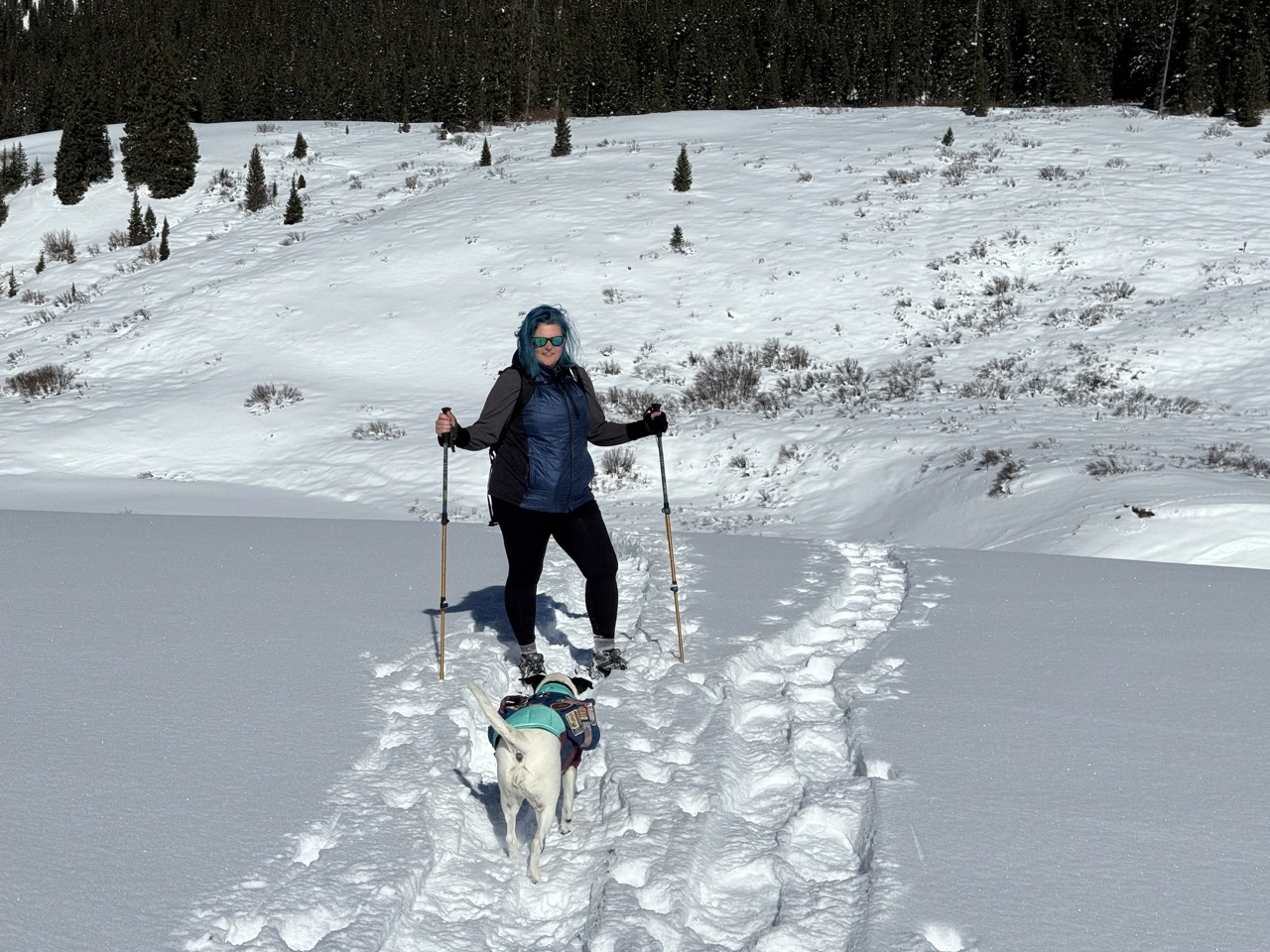 A woman on snowshoes in a snowy landscape with a dog