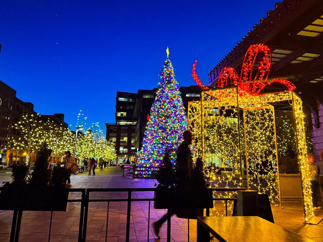 Christmas lights in front of buildings