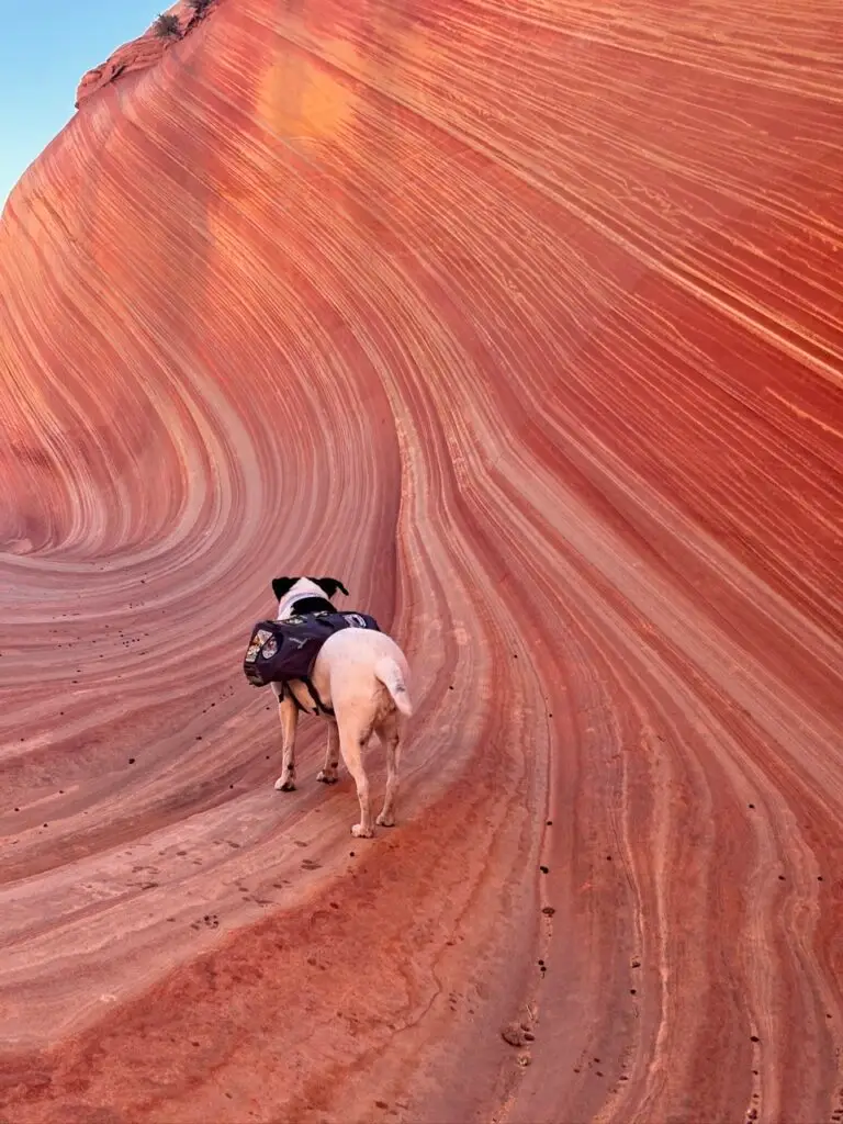 Hiking at The Wave, Coyote Buttes North, Paria Canyon–Vermilion Cliffs Wilderness