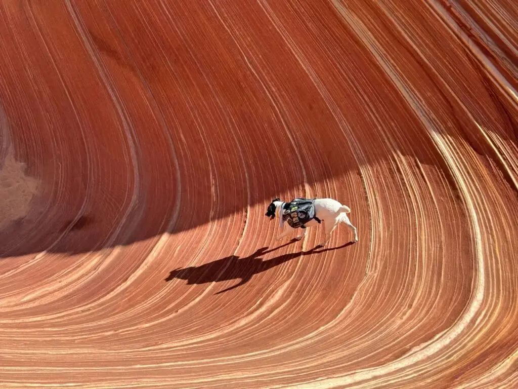 Hiking at The Wave, Coyote Buttes North, Paria Canyon–Vermilion Cliffs Wilderness