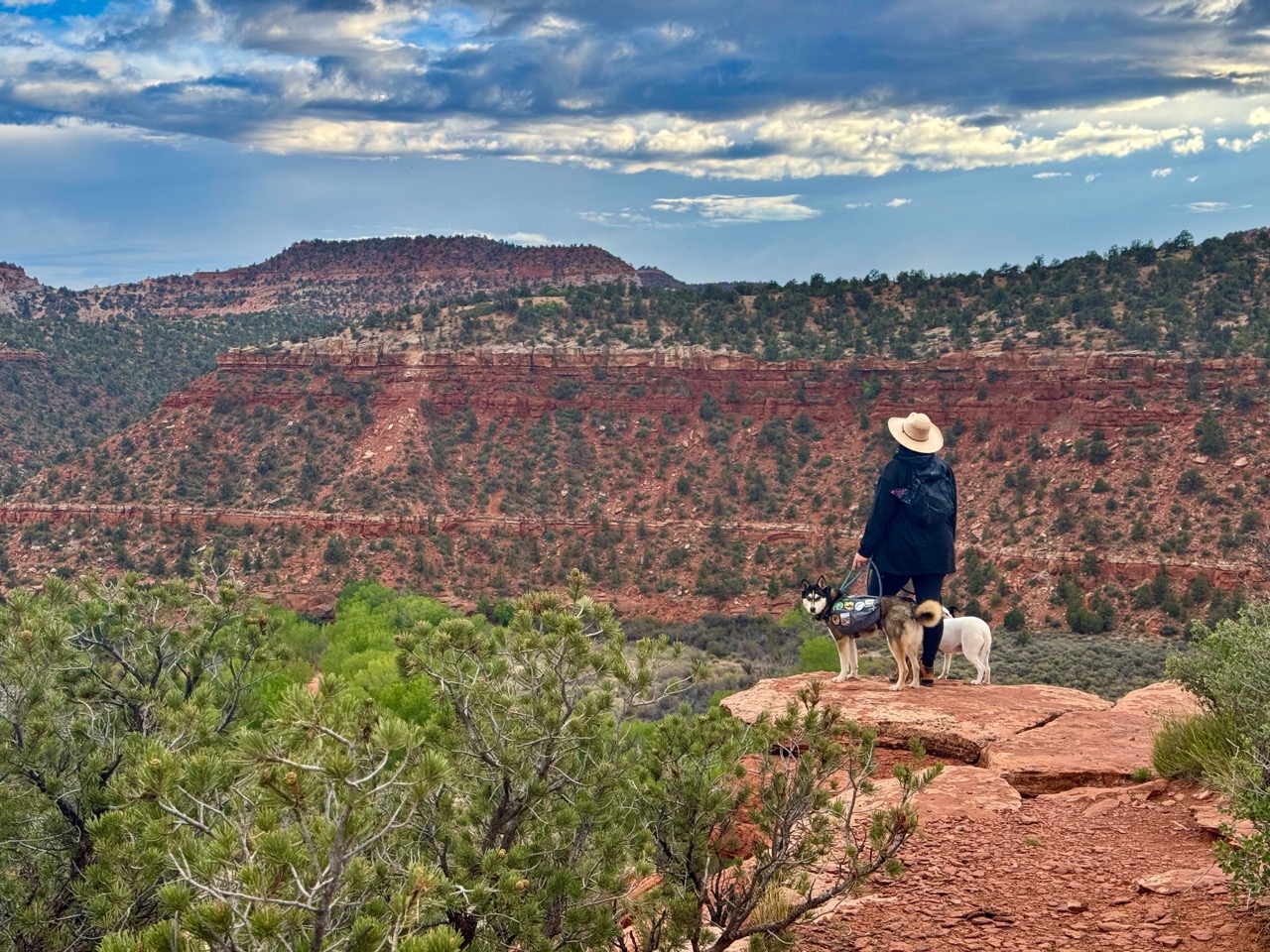Woman and two dogs standing on red cliff near Kanab, Utah
