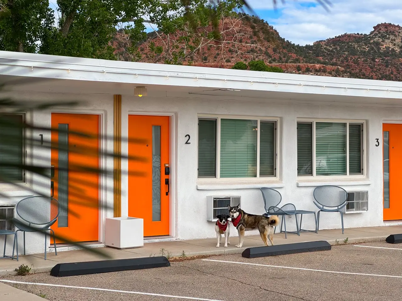 Two dogs standing in front of Quail Park Lodge, Kanab, Utah