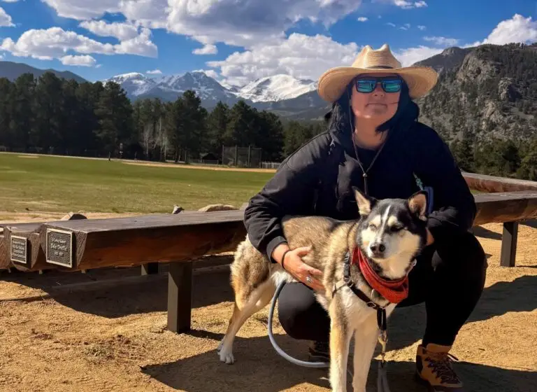 Where to Stay in Estes Park with your Dog: Ultimate Guide 2025-2026
