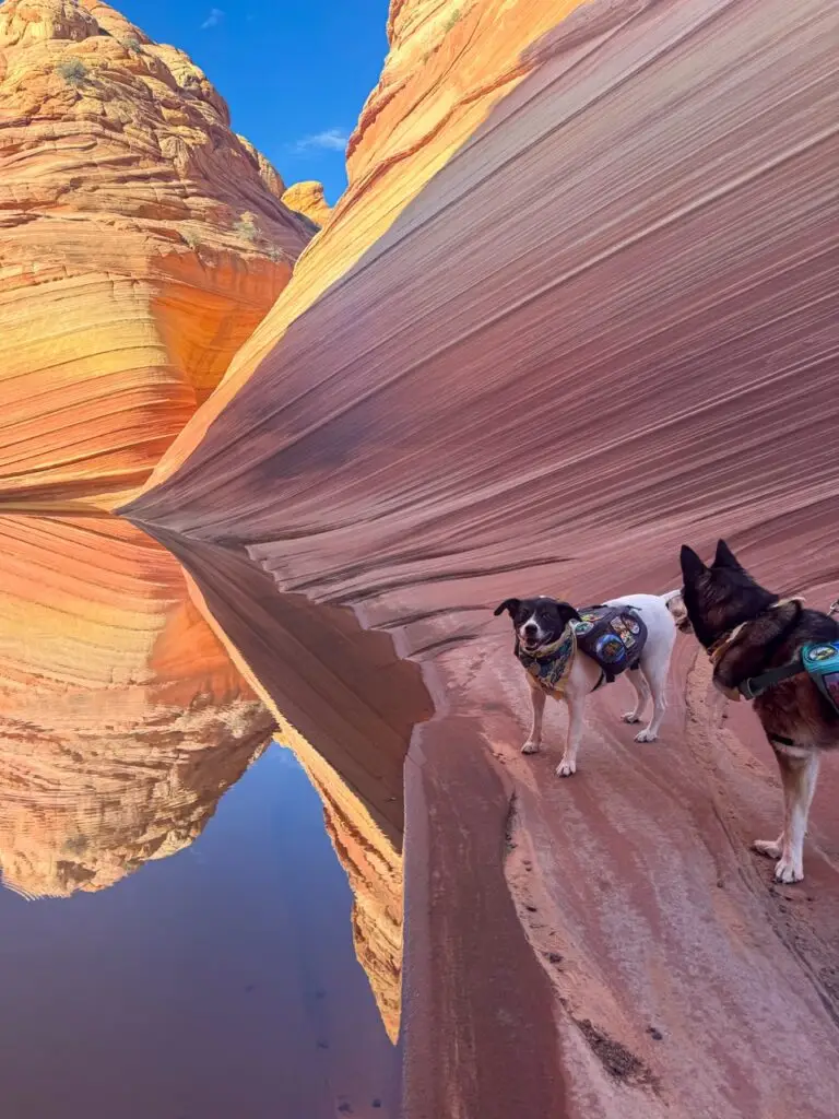 Hiking at The Wave, Coyote Buttes North, Paria Canyon–Vermilion Cliffs Wilderness